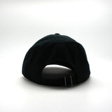 NEW! Fallingwater Ball Cap