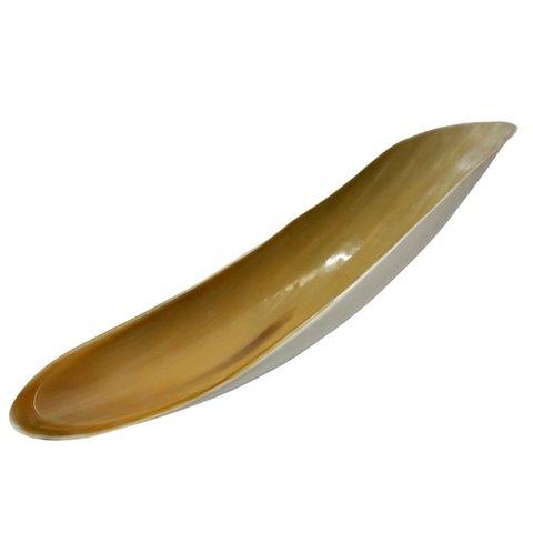 Horn XL Canoe Bowl