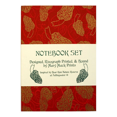 Notebook Set Earth